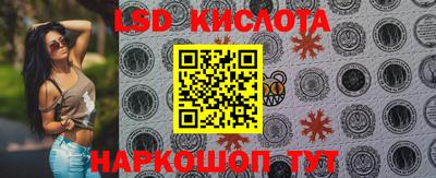 индика Заводоуковск