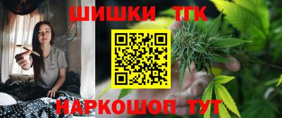 индика Заводоуковск