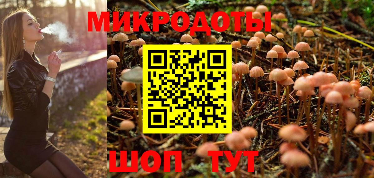 Армавир  Псилоцибиновые грибы Cubensis  Вход с VPN  Галлюциногенные грибы прущие грибы 
