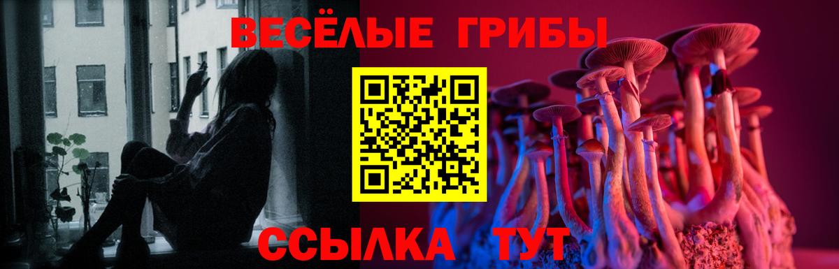 Псилоцибиновые грибы GOLDEN TEACHER Армавир